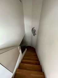 The Shaughnessy (D27), Terrace #560580511